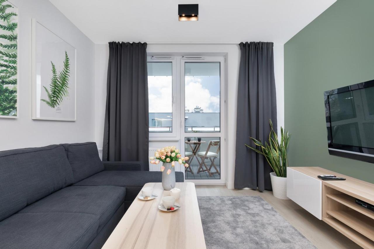Premium Platany By Renters